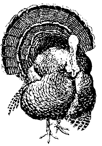 logo_kv_giessen