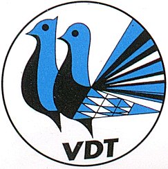 logo_vdt